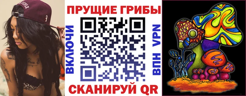 Псилоцибиновые грибы MAGIC MUSHROOMS  Купить закладки  Абдулино 